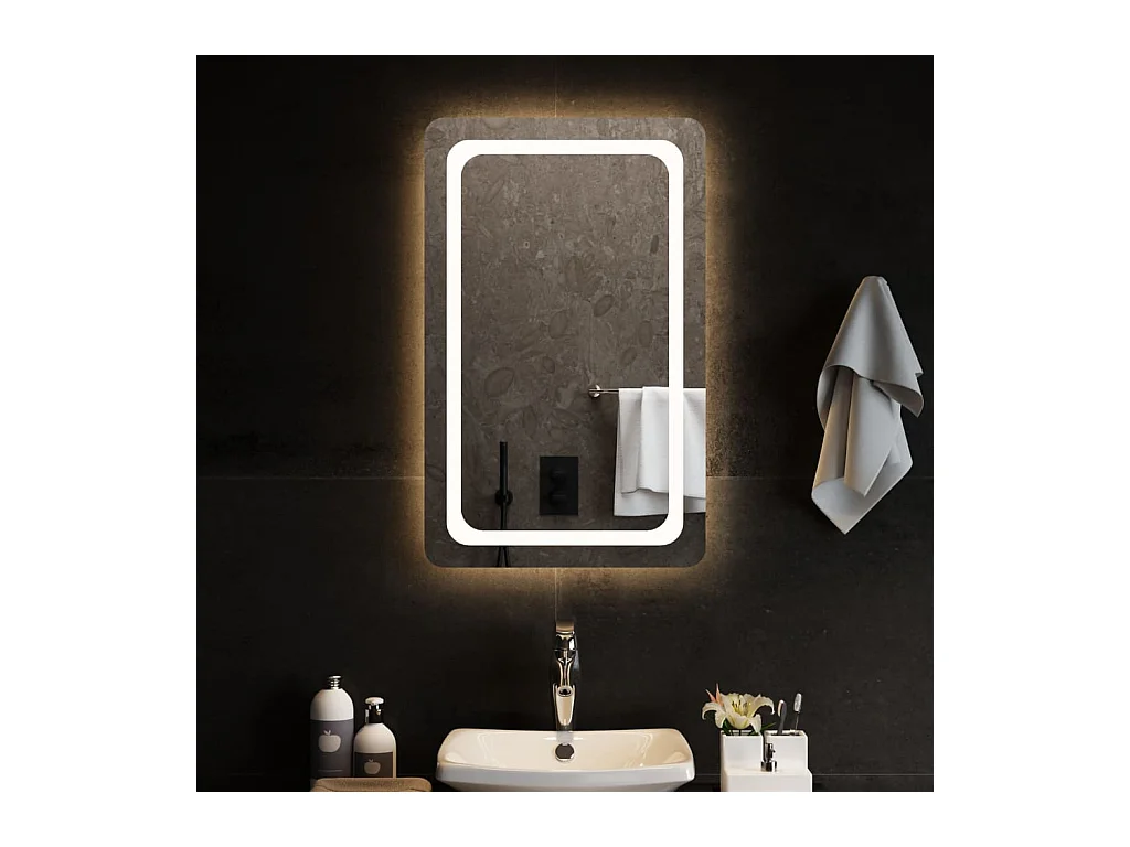 Miroir de salle de bain à LED 50x80 cm FR42867