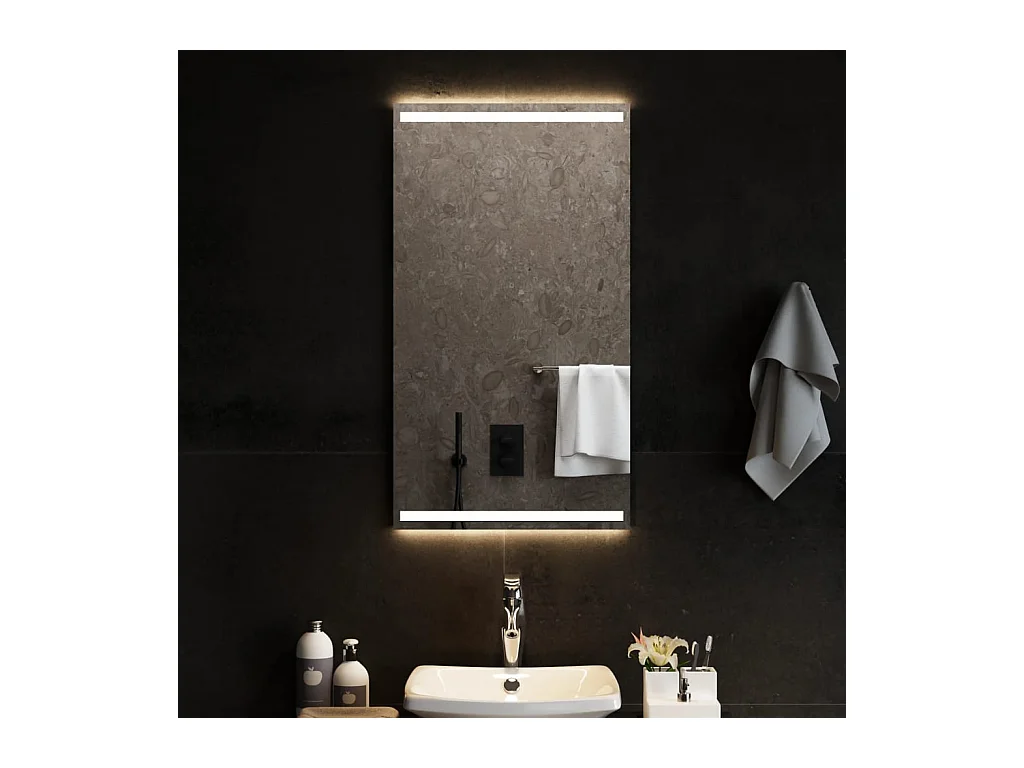 Miroir de salle de bain à LED 50x90 cm FR24343