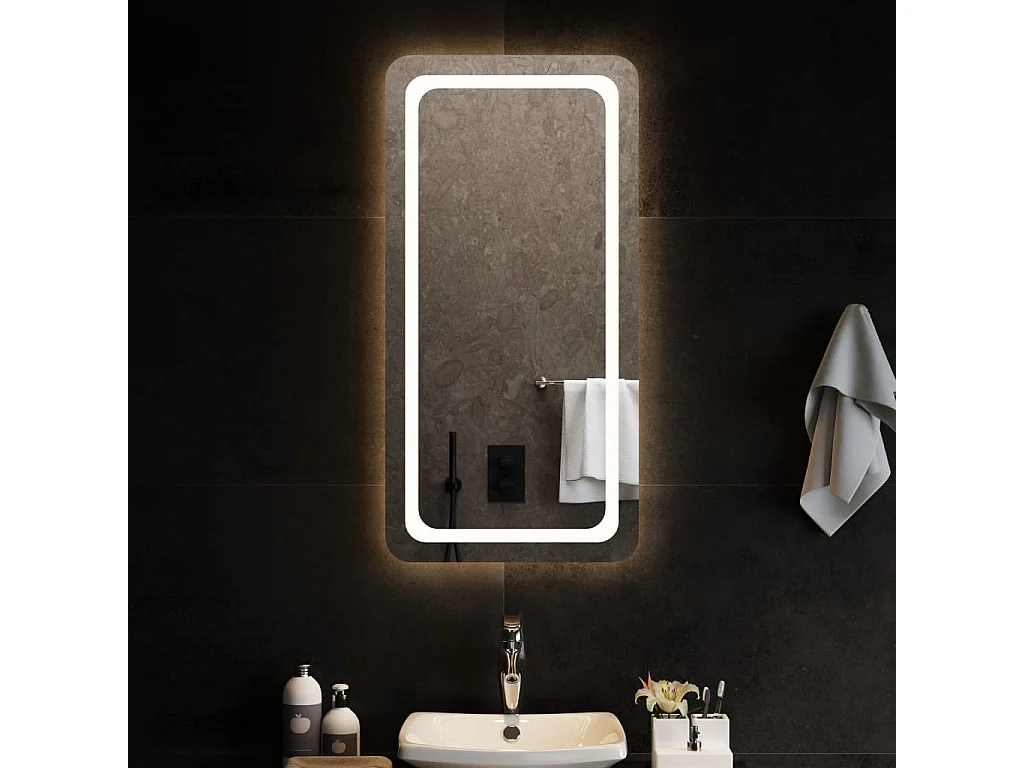 Miroir de salle de bain à LED 50x100 cm FR85914