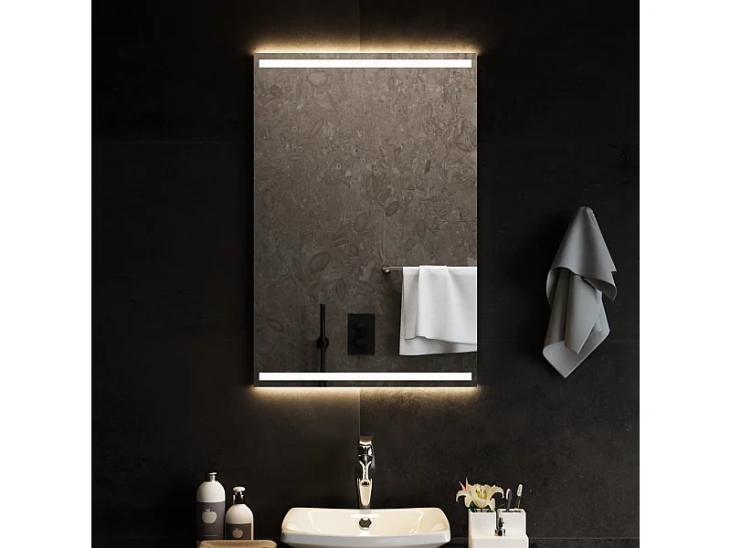 Miroir de salle de bain à LED 60x90 cm FR82363