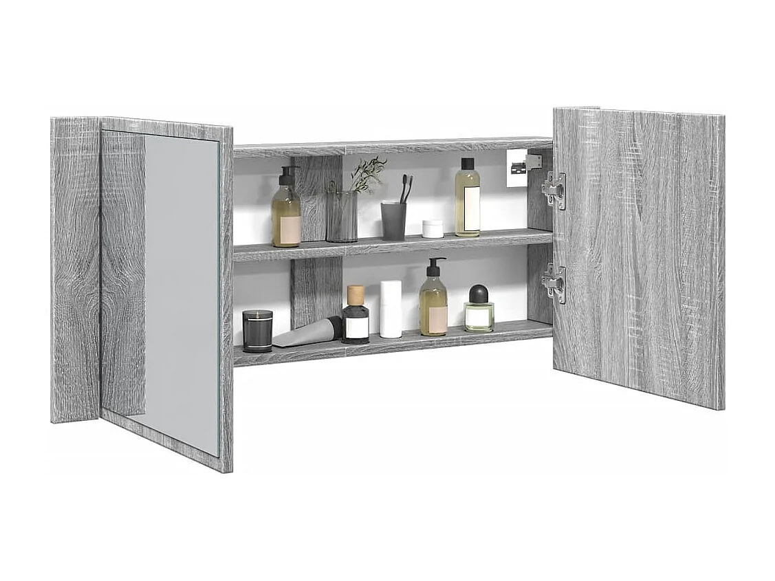Armoire à miroir à LED de bain gris sonoma 100x12x45 cm FR18879