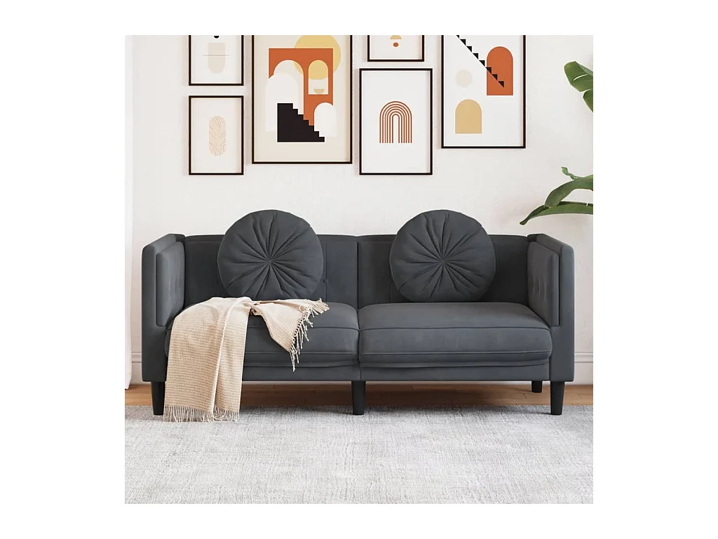 Bank met kussens 2-zits fluweel donkergrijs BE806806
