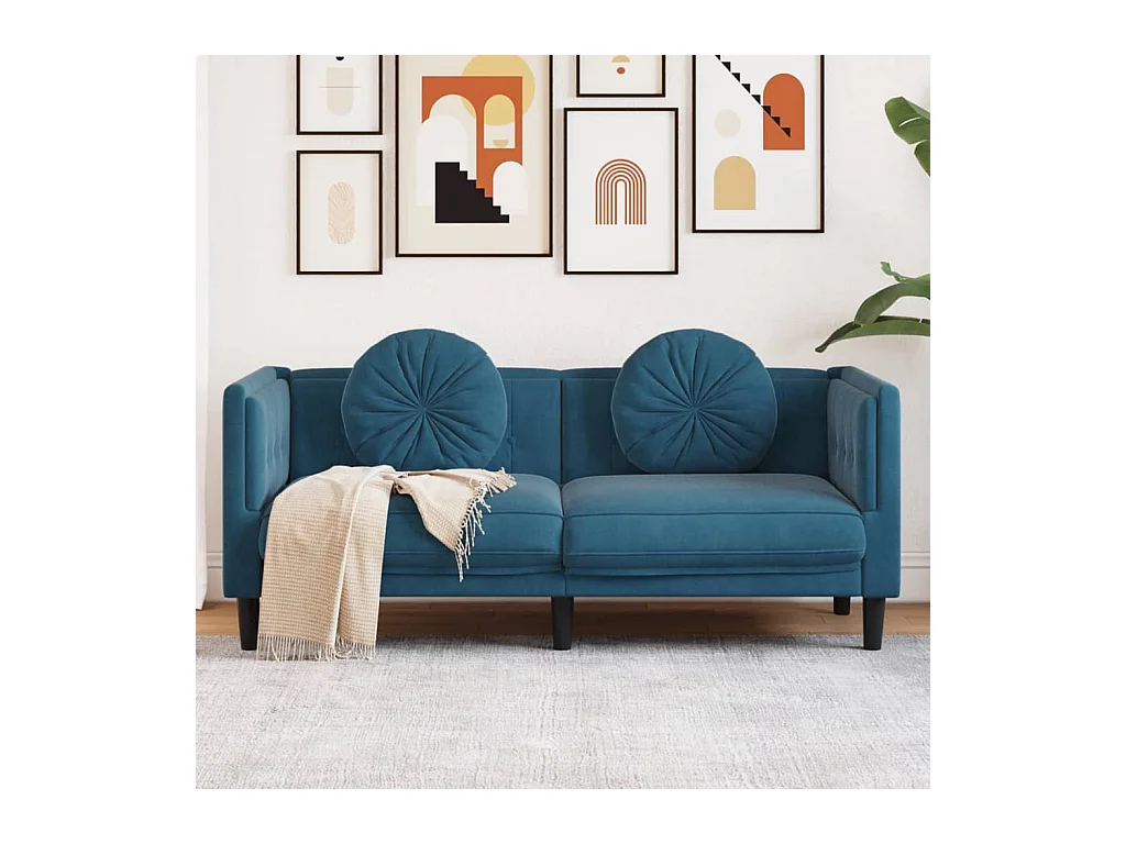 Canapé avec coussins 2 places bleu velours FR76889