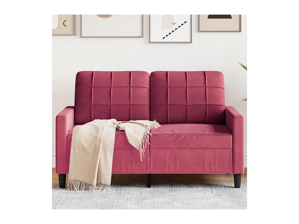 Canapé à 2 places Rouge bordeaux 120 cm Velours FR19234