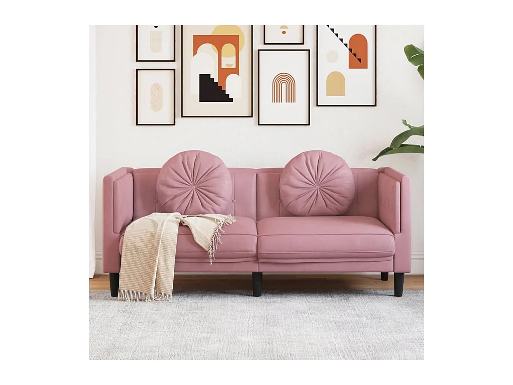 Canapé avec coussins 2 places rose velours FR67864
