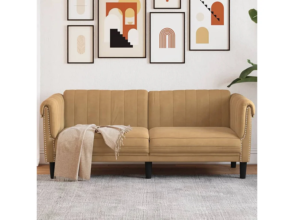Canapé 2 places marron velours FR83546