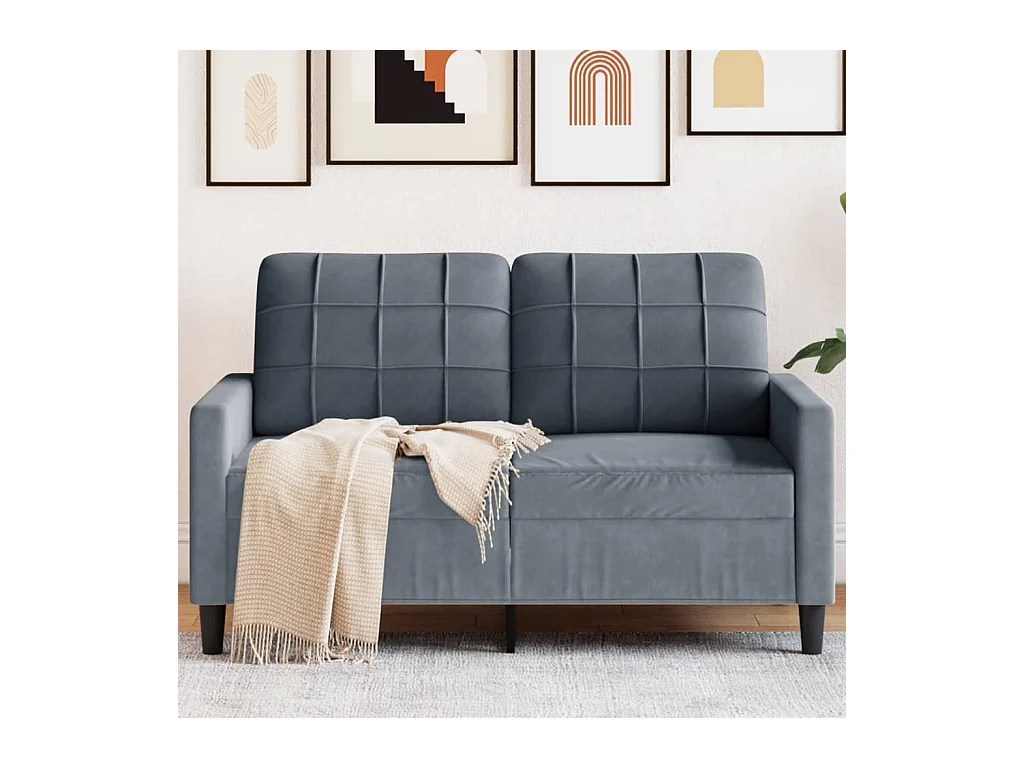 Canapé à 2 places Gris foncé 120 cm Velours FR80581