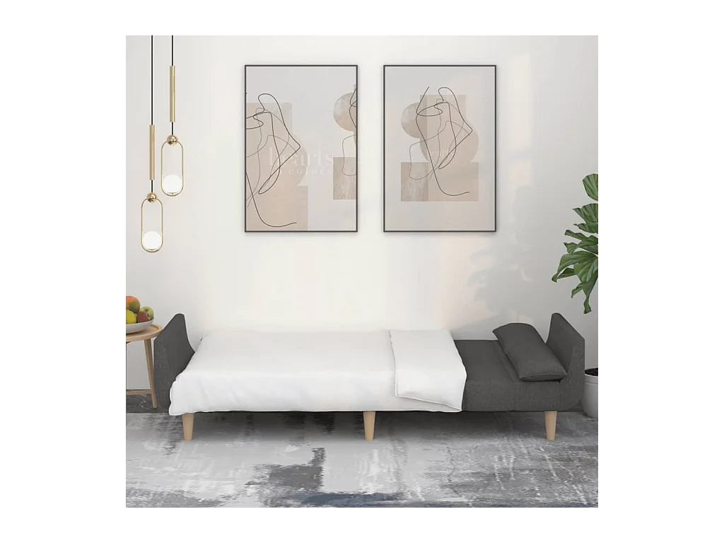 Sofá cama de 2 plazas con dos almohadas tela gris oscuro ES753640