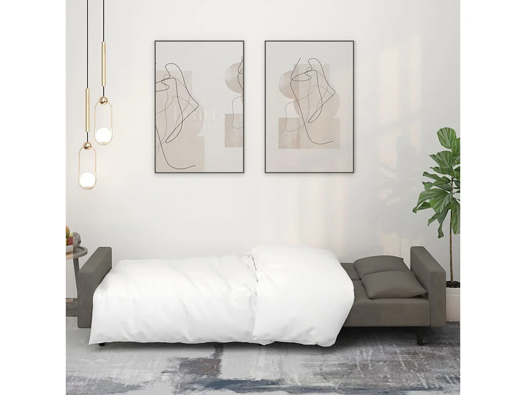 Canapé convertible à 2 places avec deux oreillers Gris foncé Velours FR65969