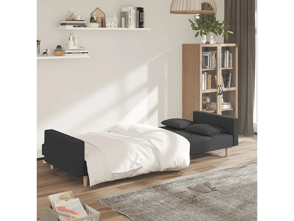 Canapé convertible à 2 places avec deux oreillers Gris foncé Tissu FR93383