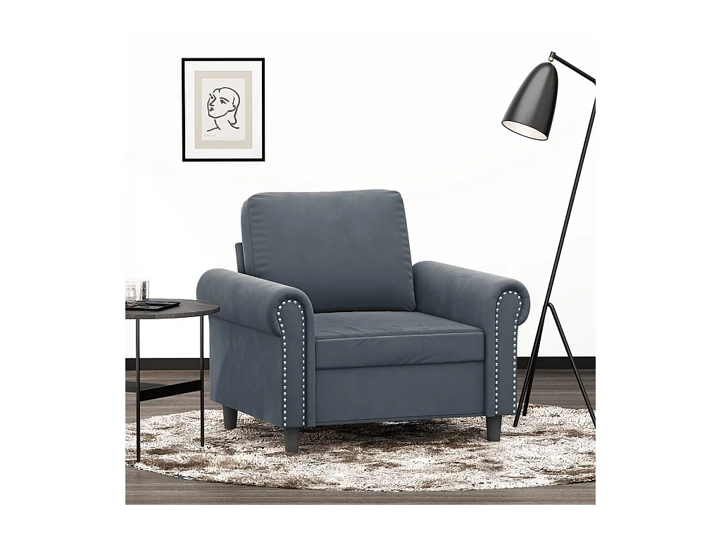 Fauteuil Gris foncé 60 cm Velours FR56008