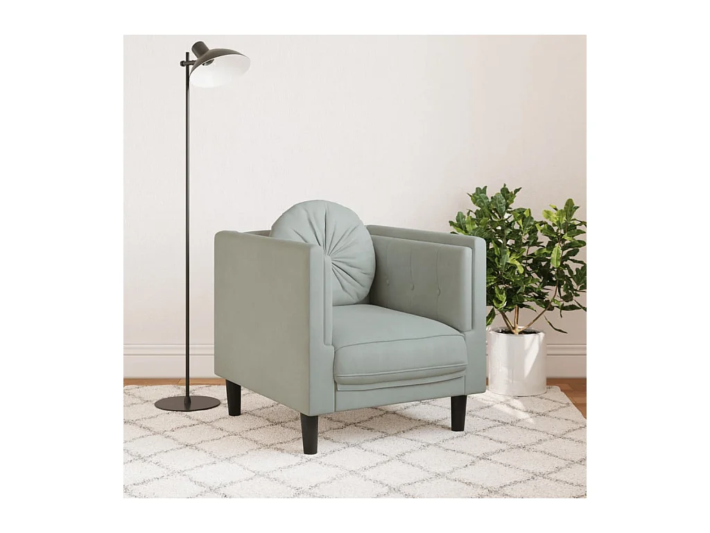Fauteuil avec coussin gris clair Velours FR86069