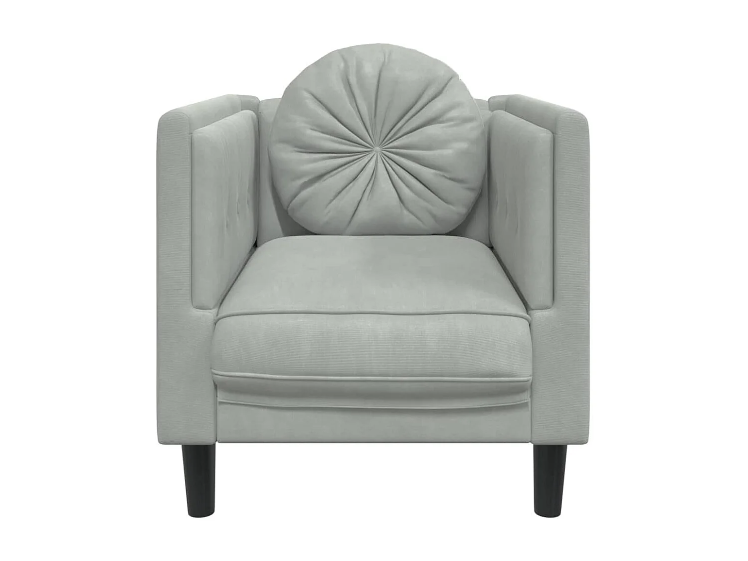 Fauteuil met kussen fluweel lichtgrijs BE259481