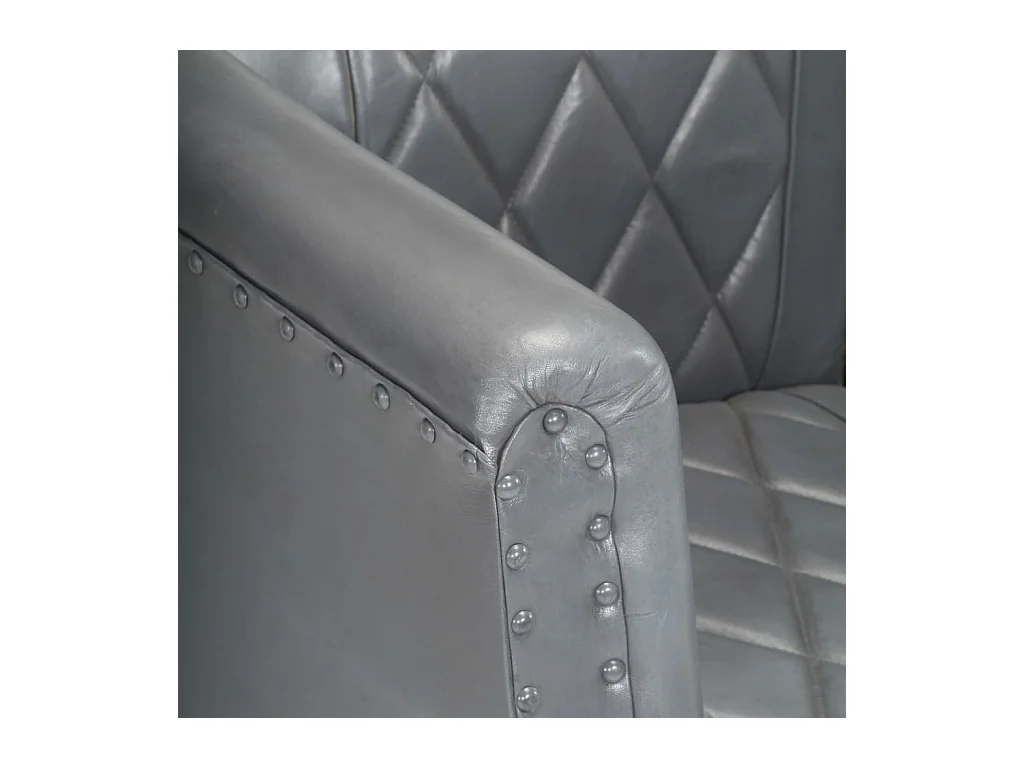 Fauteuil cabriolet Gris Cuir véritable de chèvre FR41184