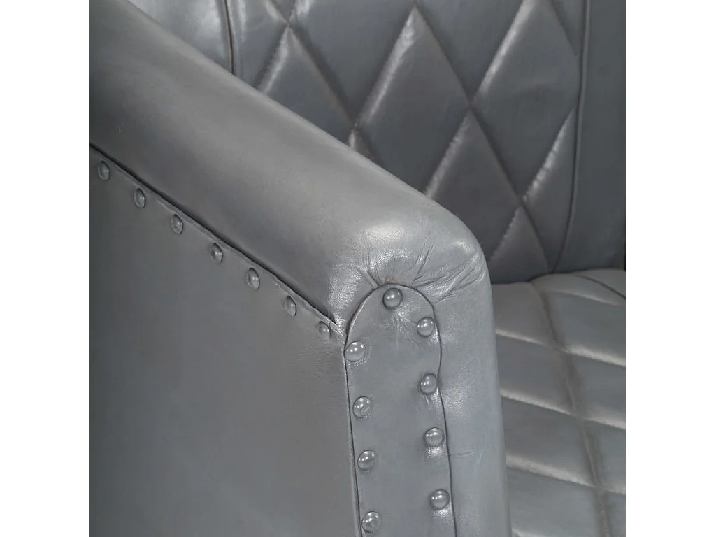 Fauteuil cabriolet Gris Cuir véritable de chèvre FR41184