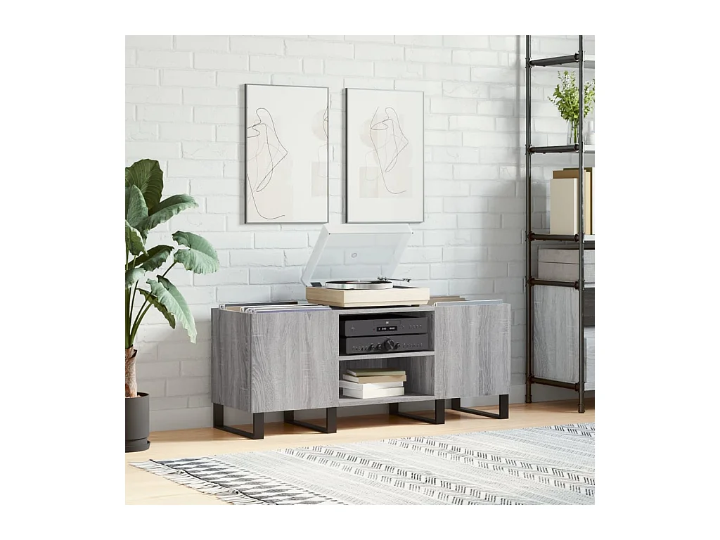 Platenkast 121x38x48 cm bewerkt hout grijs sonoma eikenkleurig BE553962