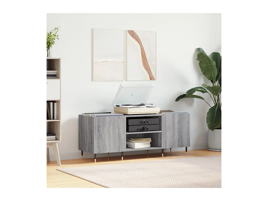 Mueble para discos madera contrachapada gris sonoma 121x38x48cm ES401096