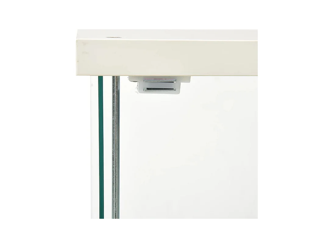 Armoire de rangement Verre trempé Blanc FR40188