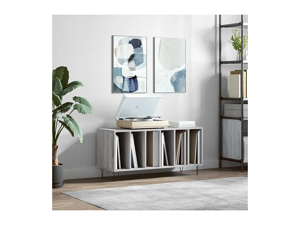 Mueble para discos madera contrachapada gris Sonoma 100x38x48cm ES997698