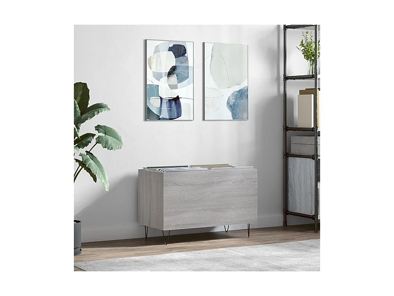 Mueble discos madera contrachapada gris sonoma 74,5x38x48 cm ES933645