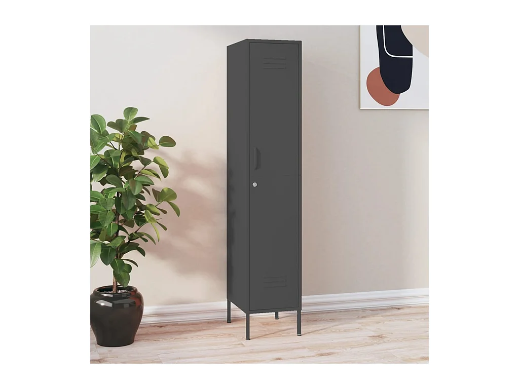 Armoire à casiers Anthracite 35x46x180 cm Acier FR59401