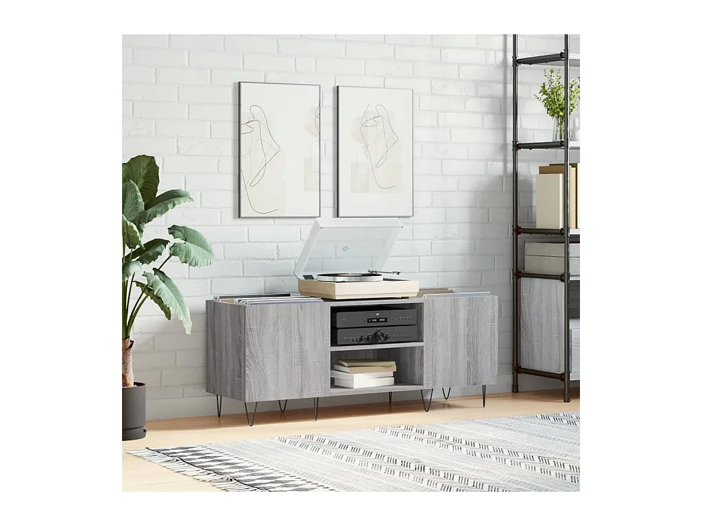 Mueble para discos madera contrachapada gris sonoma 121x38x48cm ES106286