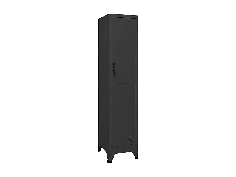 Armoire à casiers Anthracite 38x45x180 cm Acier FR41725