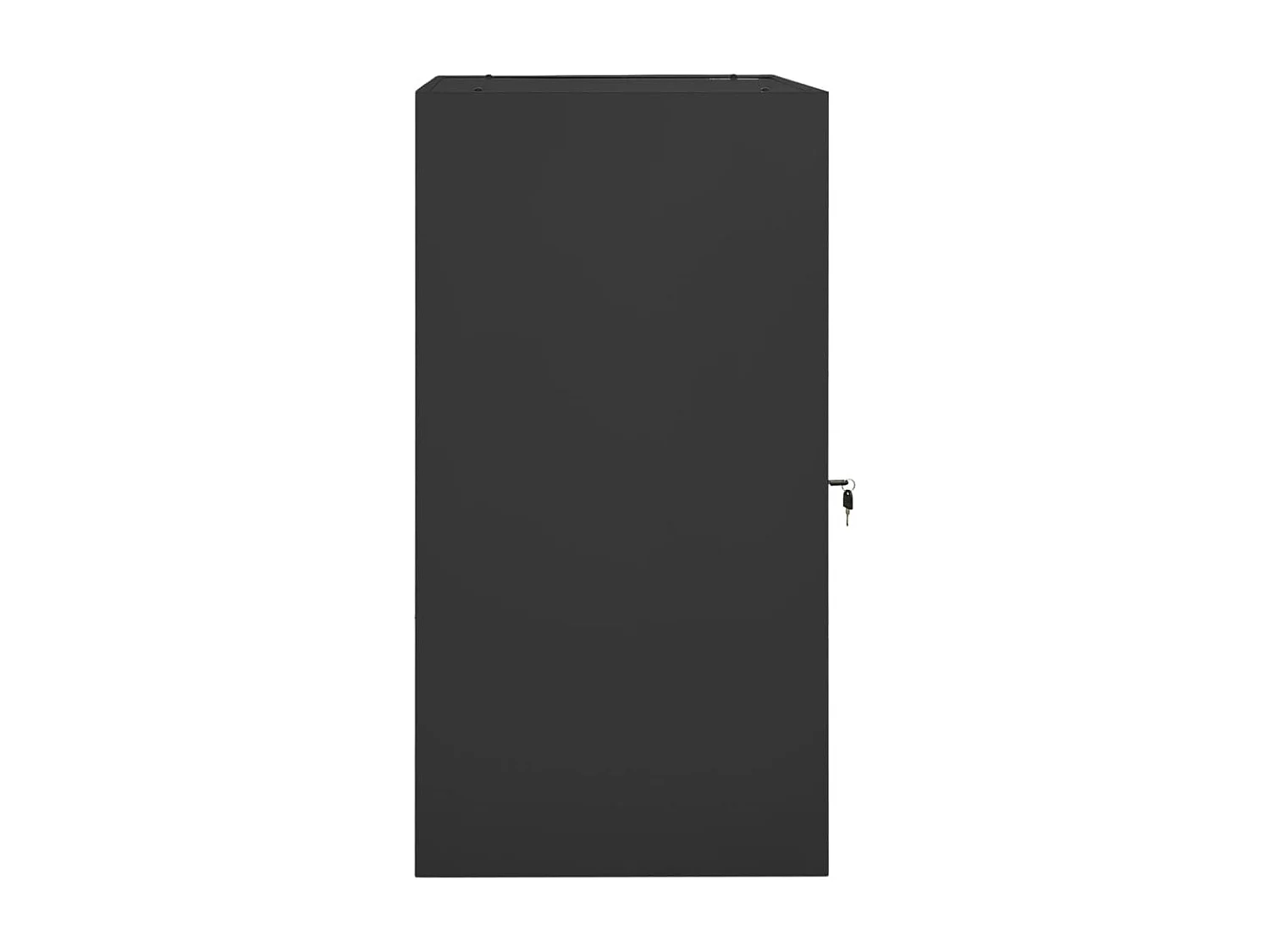 Armoire à selles Anthracite 53x53x105 cm Acier FR98987