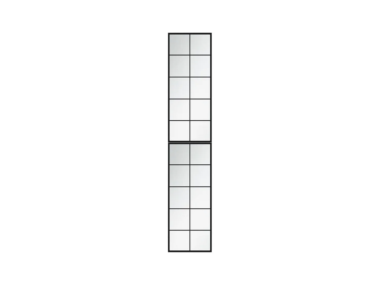 Miroirs muraux 2 pcs noir 100x40 cm métal FR14605