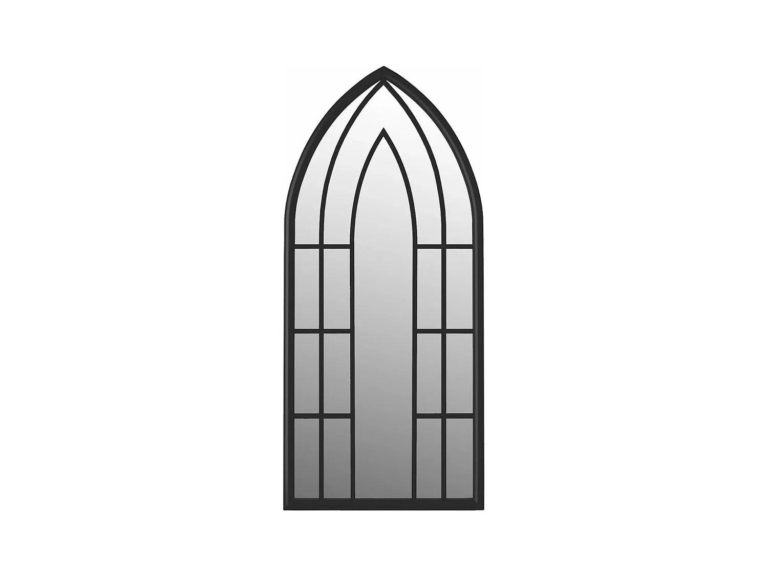 Miroir de jardin Noir 100x45 cm Fer pour utilisation extérieure FR98442