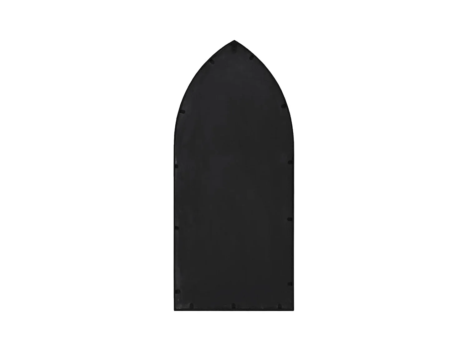 Miroir de jardin Noir 100x45 cm Fer pour utilisation extérieure FR98442