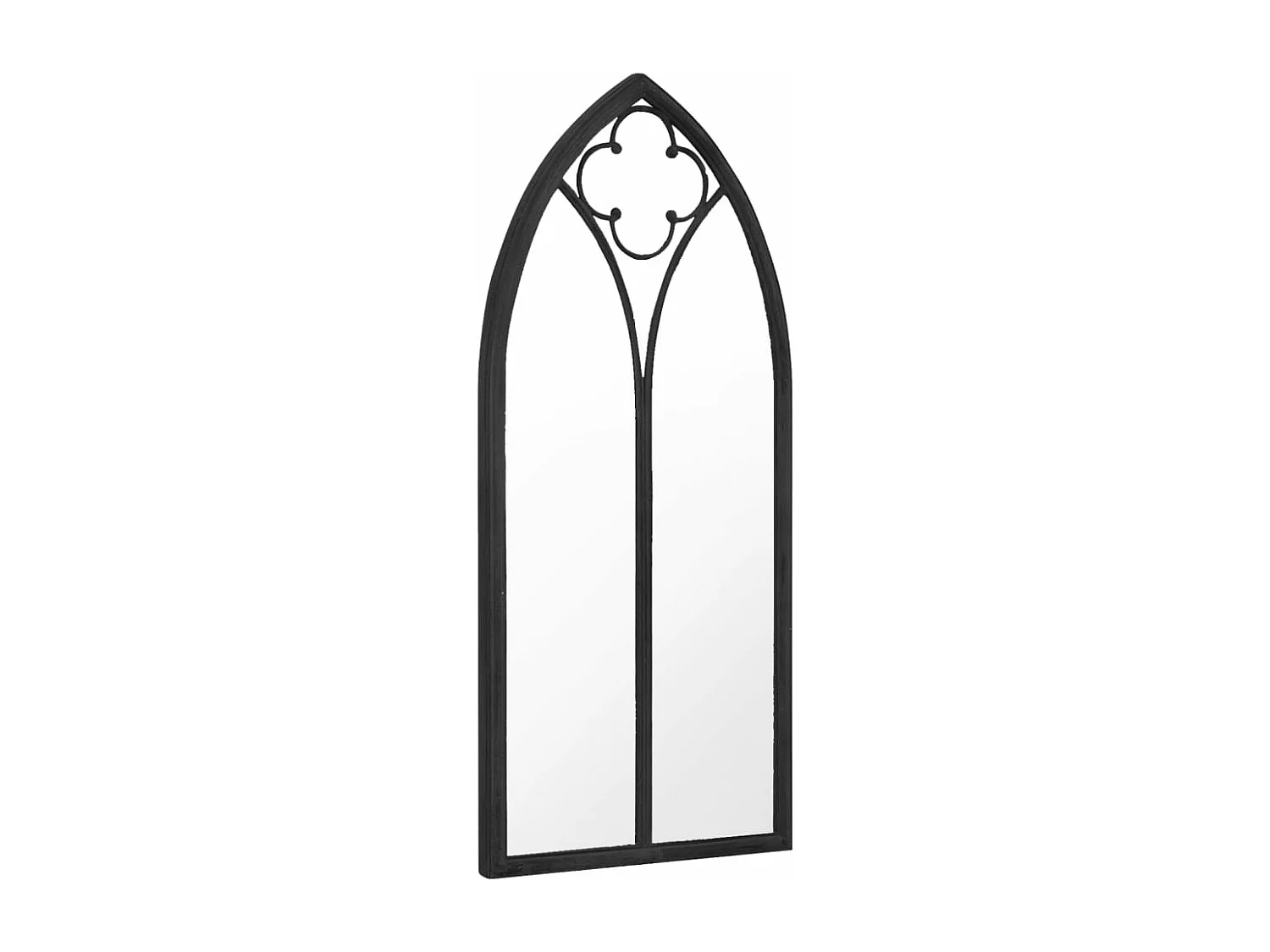 Miroir de jardin Noir 100x45 cm Fer pour utilisation extérieure FR97831