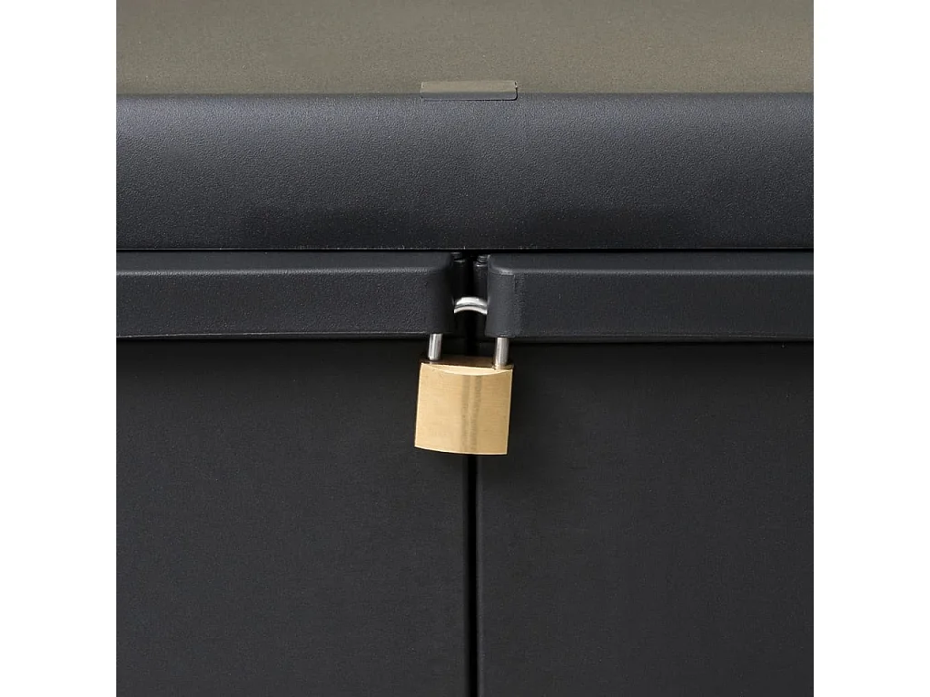 Armoire de rangement de jardin avec 1 étagère Noir FR27295