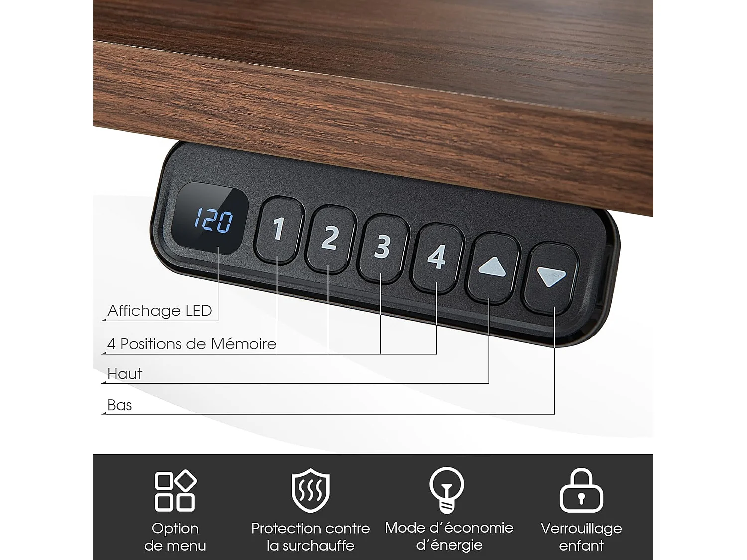 Bureau Assis-Debout Électrique à 2 Moteurs, Cadre de Bureau avec Largeur et Hauteur Réglables,  Contrôle à 4 Boutons de Mémoires, Dispositif Anti-Collision (Noir)