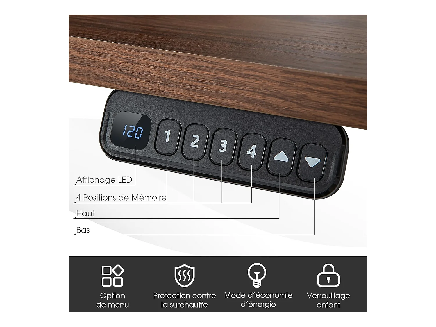 Bureau Assis-Debout Électrique à 2 Moteurs, Cadre de Bureau avec Largeur et Hauteur Réglables,  Contrôle à 4 Boutons de Mémoires, Dispositif Anti-Collision (Noir)