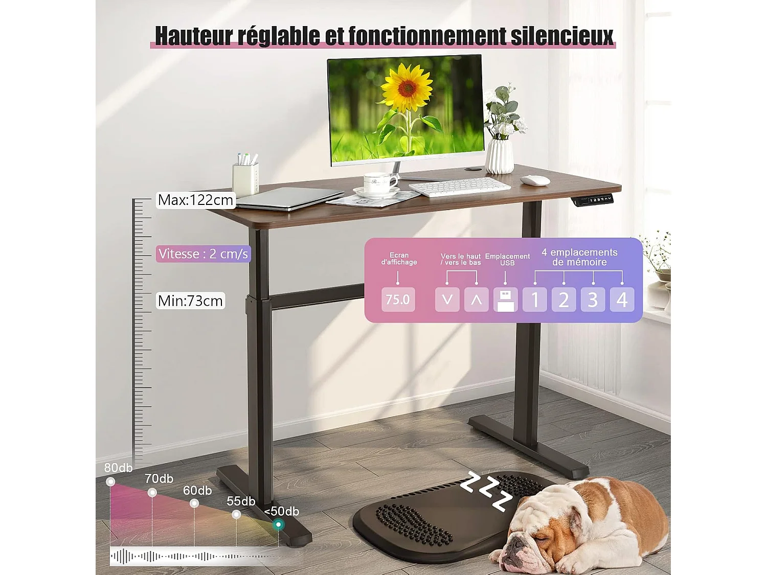 Bureau Assis-Debout Électrique 120x60x(73-122) CM Hauteur Réglable, avec Moteur, Charge Max 80KG Bruit : ＜50 dB