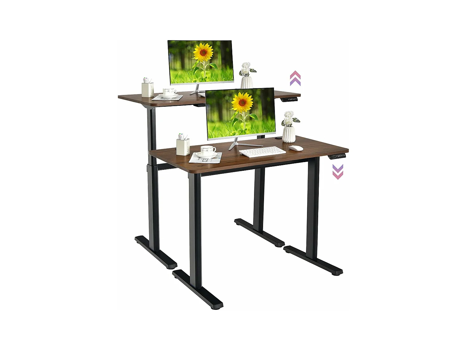 Bureau Assis-Debout Électrique 120x60x(73-122) CM Hauteur Réglable, avec Moteur, Charge Max 80KG Bruit : ＜50 dB