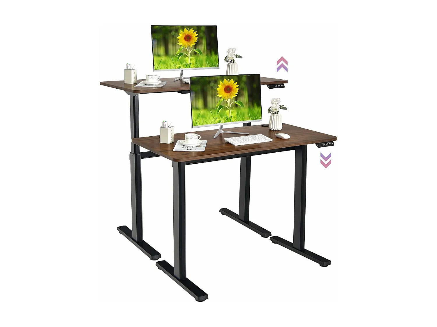 Bureau Assis-Debout Électrique 120x60x(73-122) CM Hauteur Réglable, avec Moteur, Charge Max 80KG Bruit : ＜50 dB