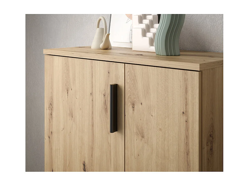 Meuble à chaussures 2 portes décor bois de chêne rustique – AMELIE