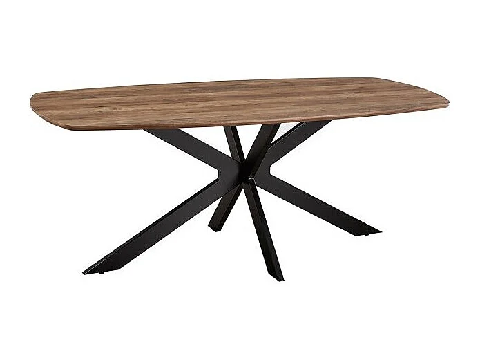Ovale eettafel voor 10 personen uit de TUNIS collectie. Design metalen poten.