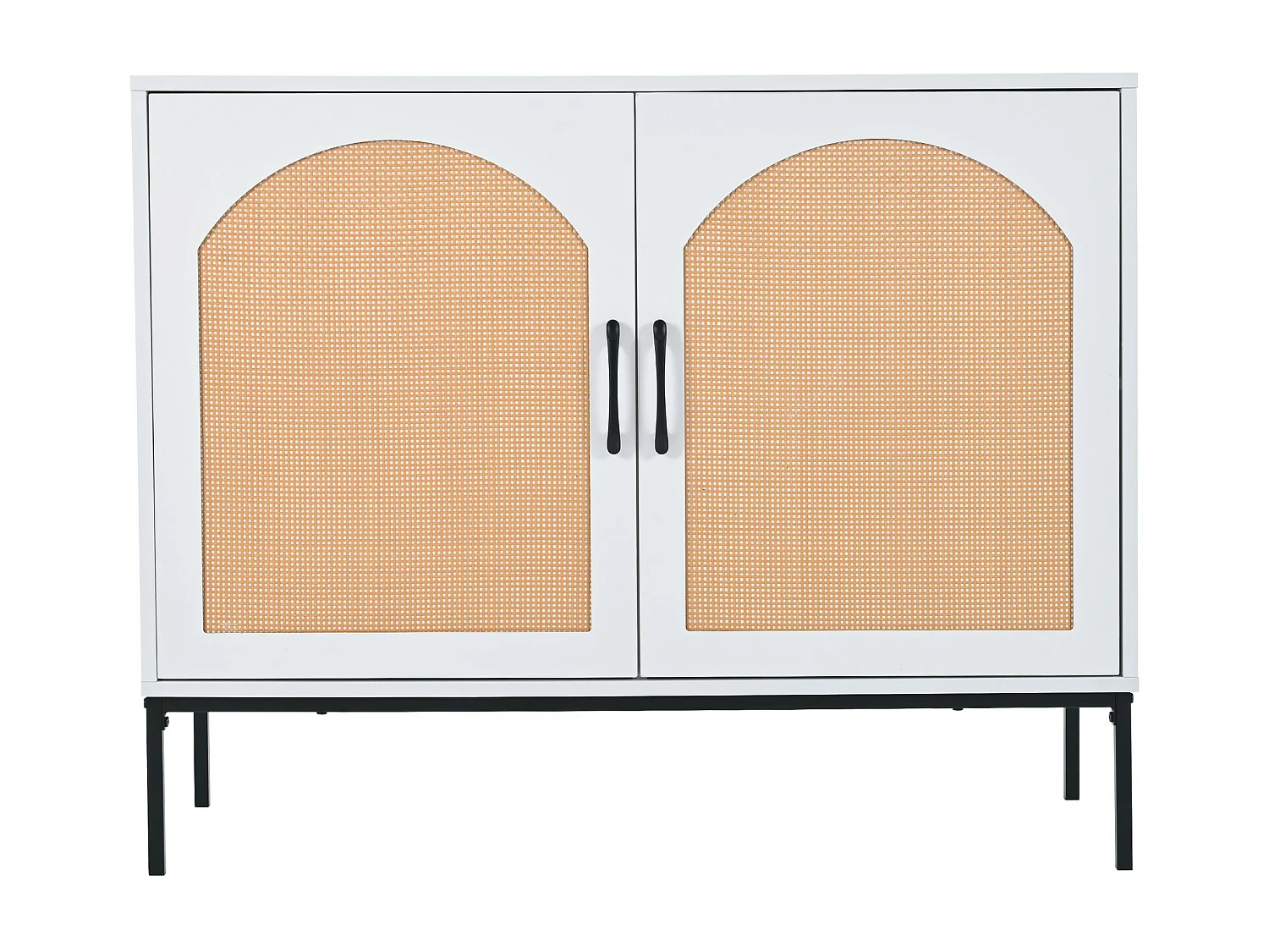 Armoire de rangement en rotin, armoire à deux portes, dimensions : L100/H80/D39 cm