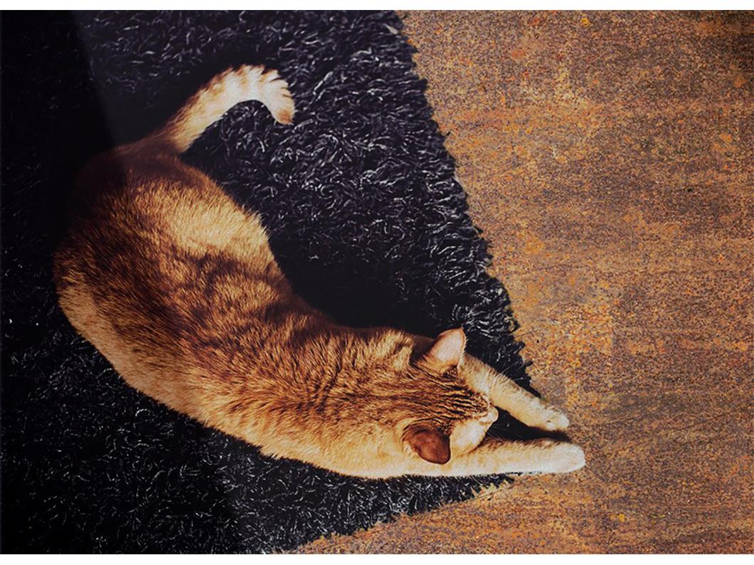 Tapis vinyle tendance Tôle rouillée - 150 cm x 225 cm