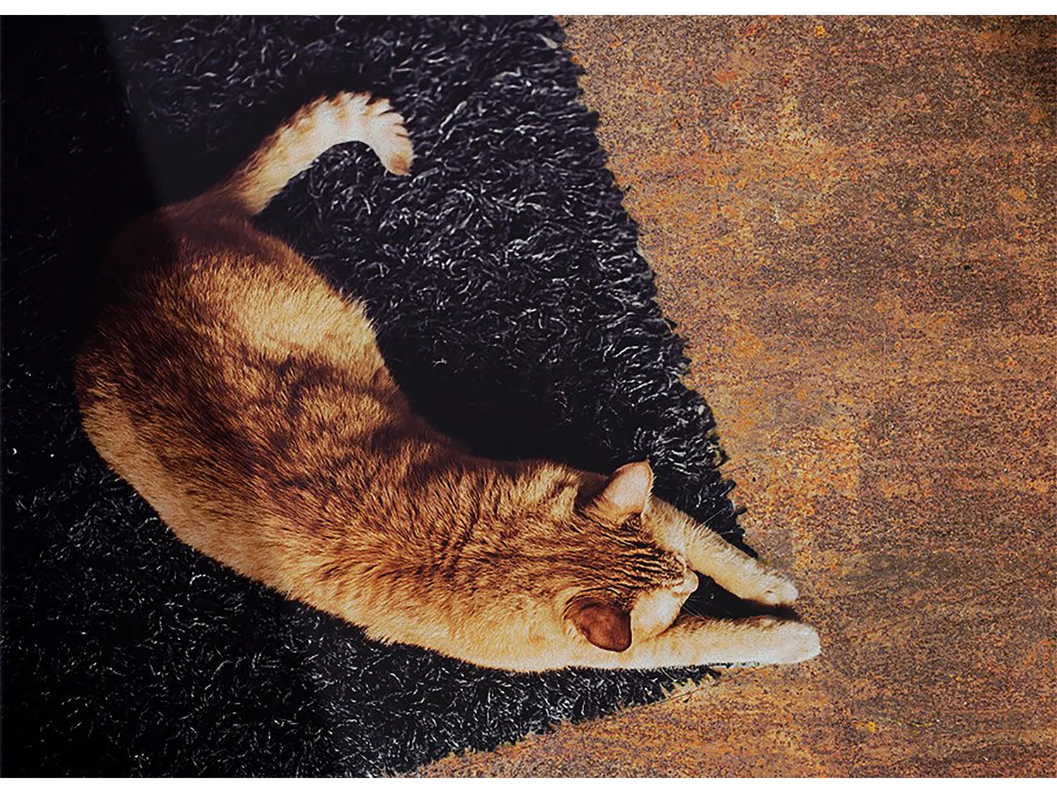 Tapis vinyle tendance Tôle rouillée - 140 cm x 210 cm