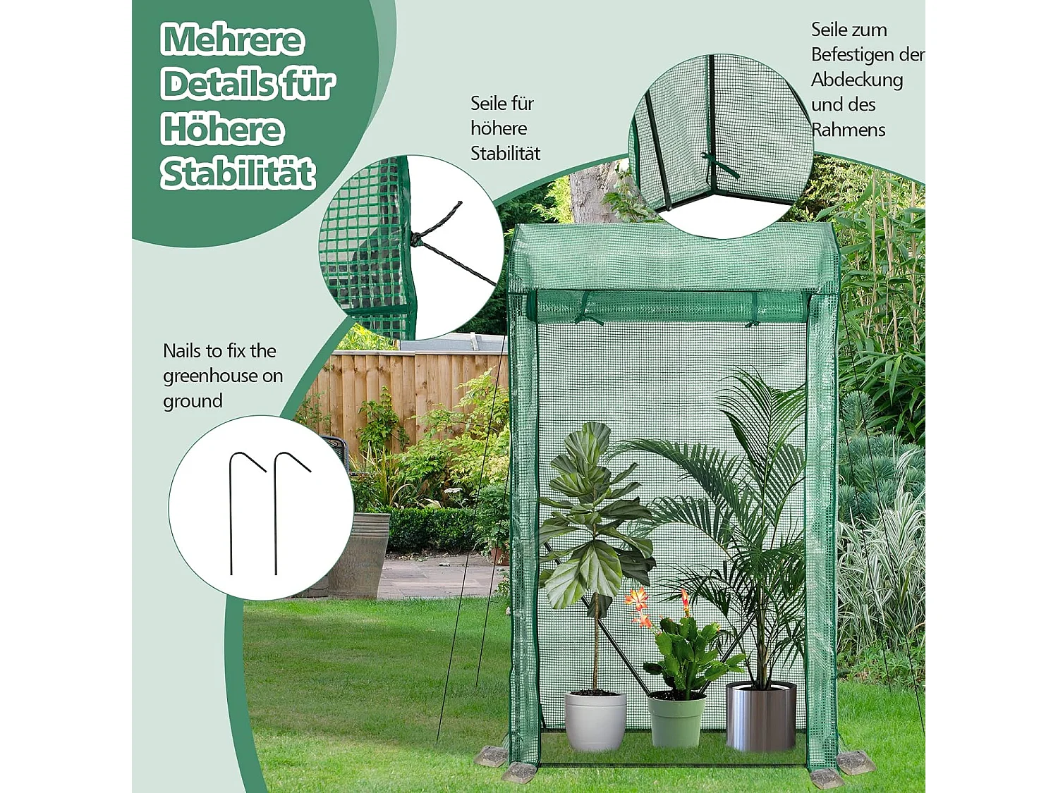 Gewächshaus für Tomaten