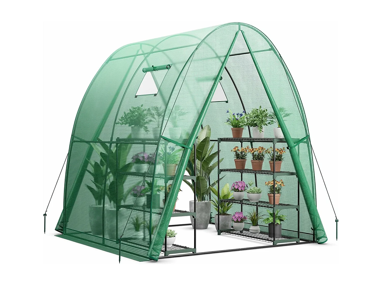 Foliengewächshaus SF6346