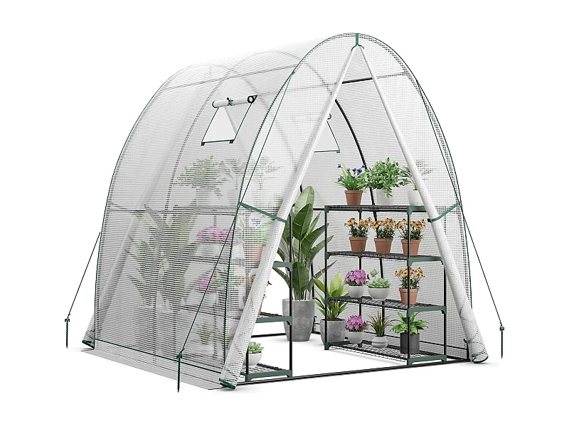 Foliengewächshaus SF6346