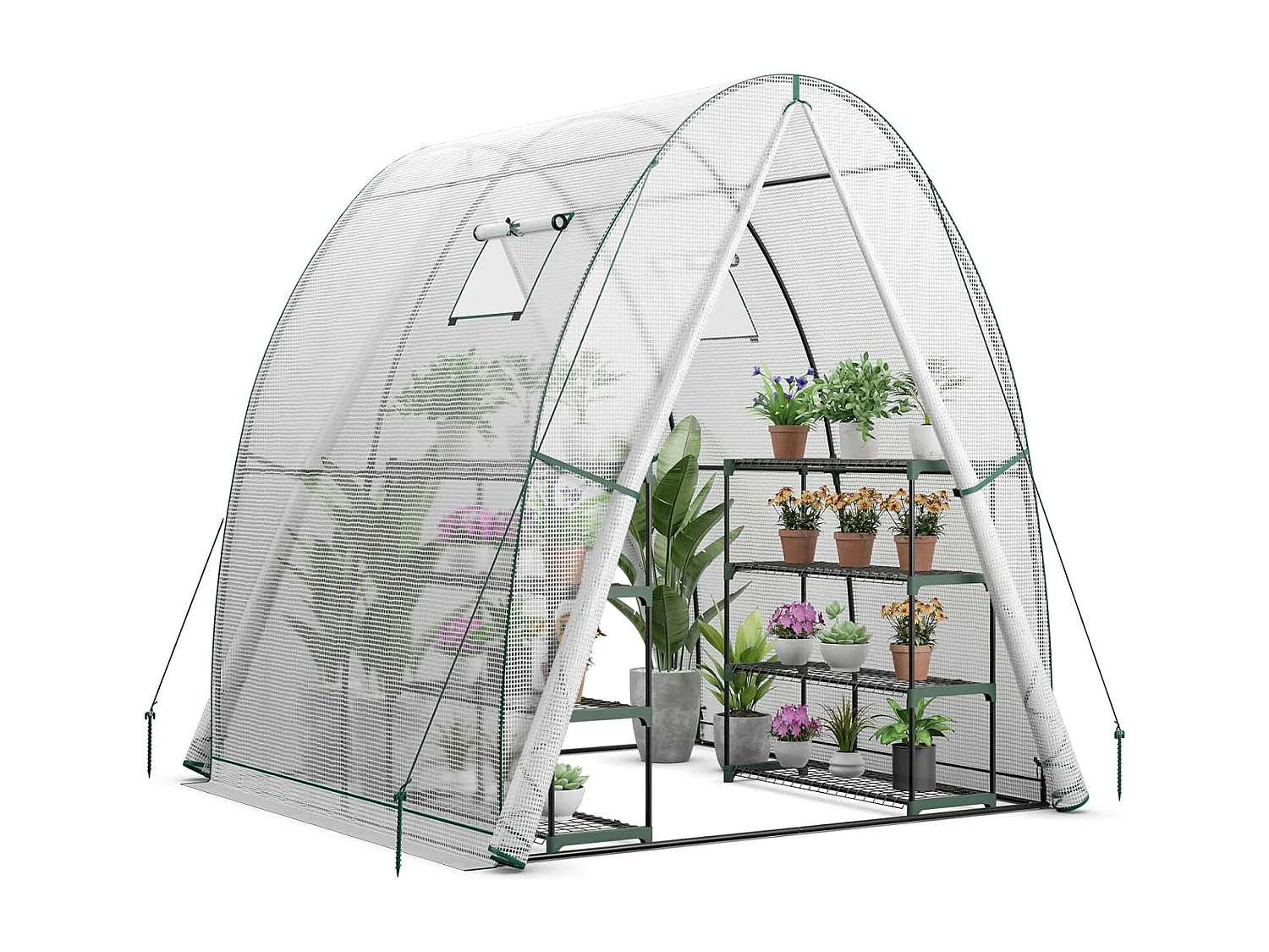 Foliengewächshaus SF6346