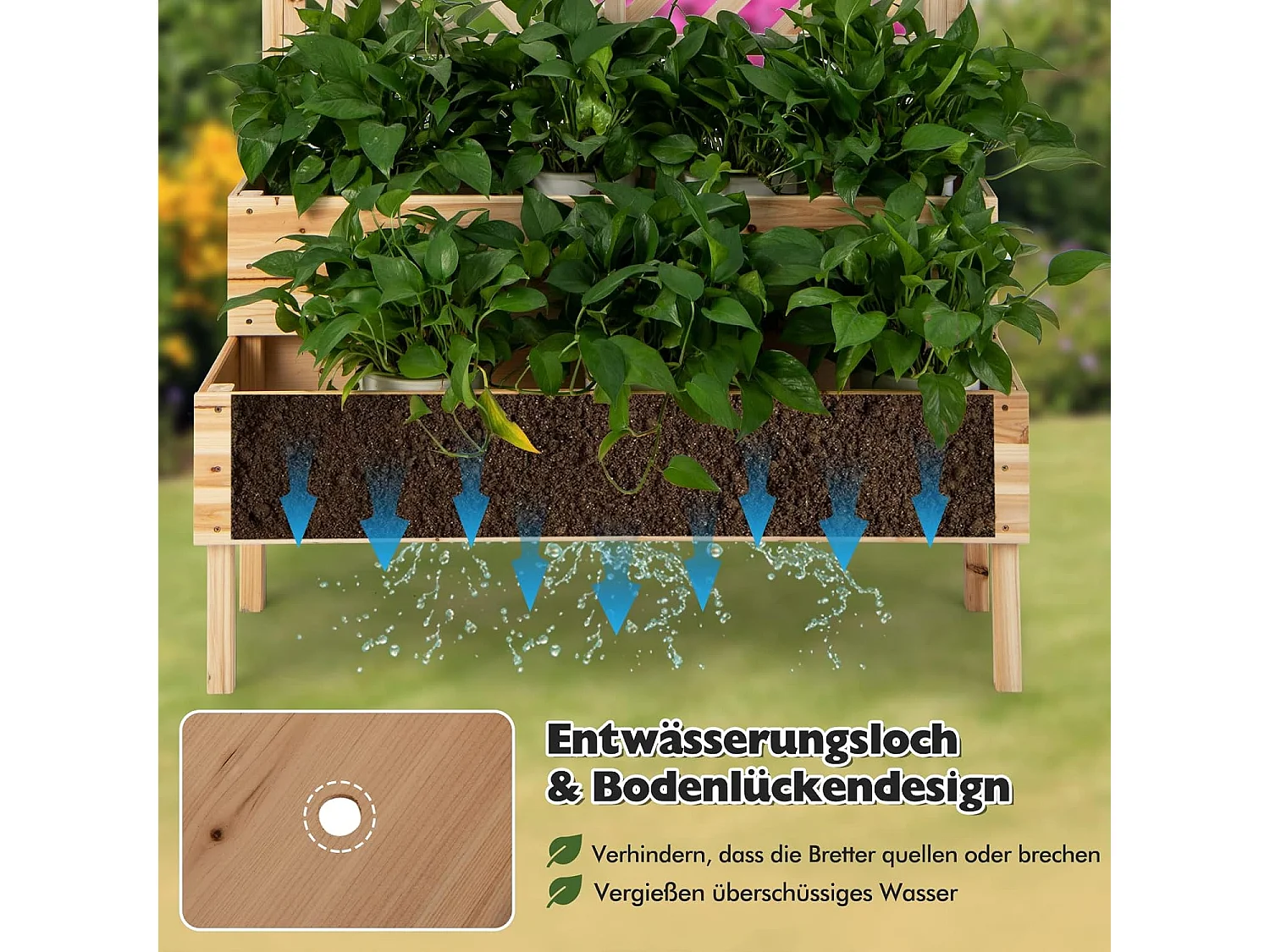 Blumenkasten mit Spalier