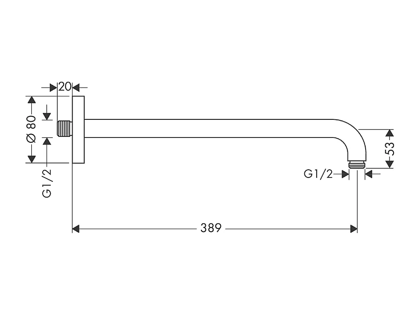 HANSGROHE M Brazo de ducha 38,9 cm cromado