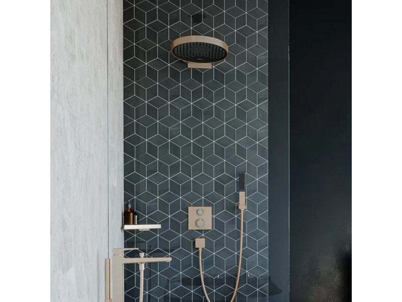 Douche de tête HANSGROHE Pulsify S 260 EcoSmart Bronze brossé